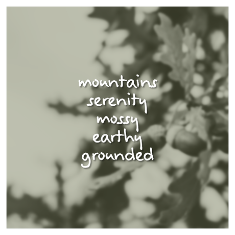 Soft Oak Fragrance Oil