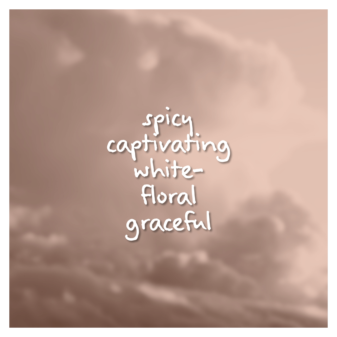 Splendour Fragrance Oil