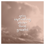 Splendour Fragrance Oil