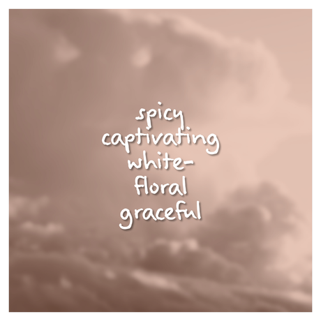 Splendour Fragrance Oil