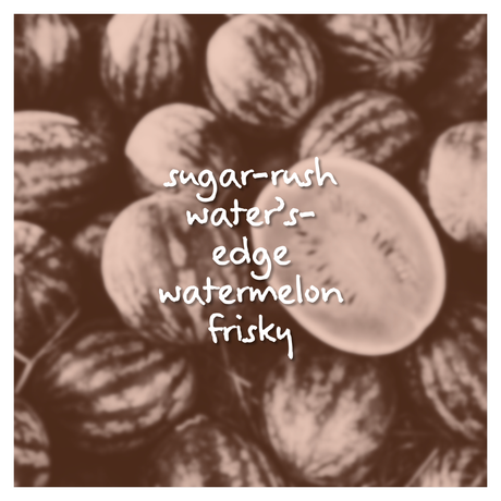 Summer Fizz Fragrance Oil