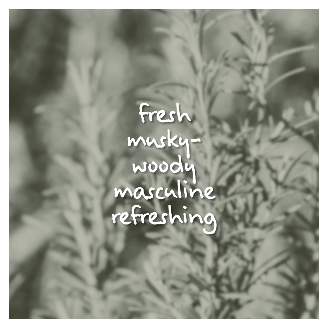 Cedar Reign Fragrance Oil