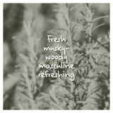 Cedar Reign Fragrance Oil