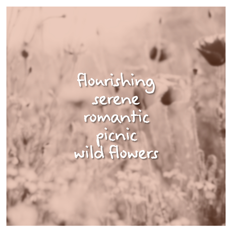 Plush Meadow Fragrance Oil