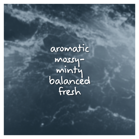 Summit Currents Fragrance Oil