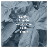 Verdonox Fragrance Oil