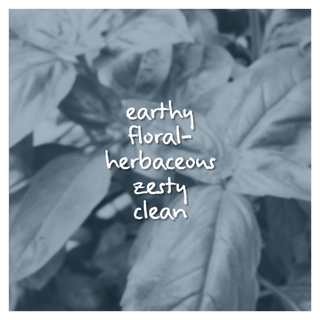 Verdonox Fragrance Oil