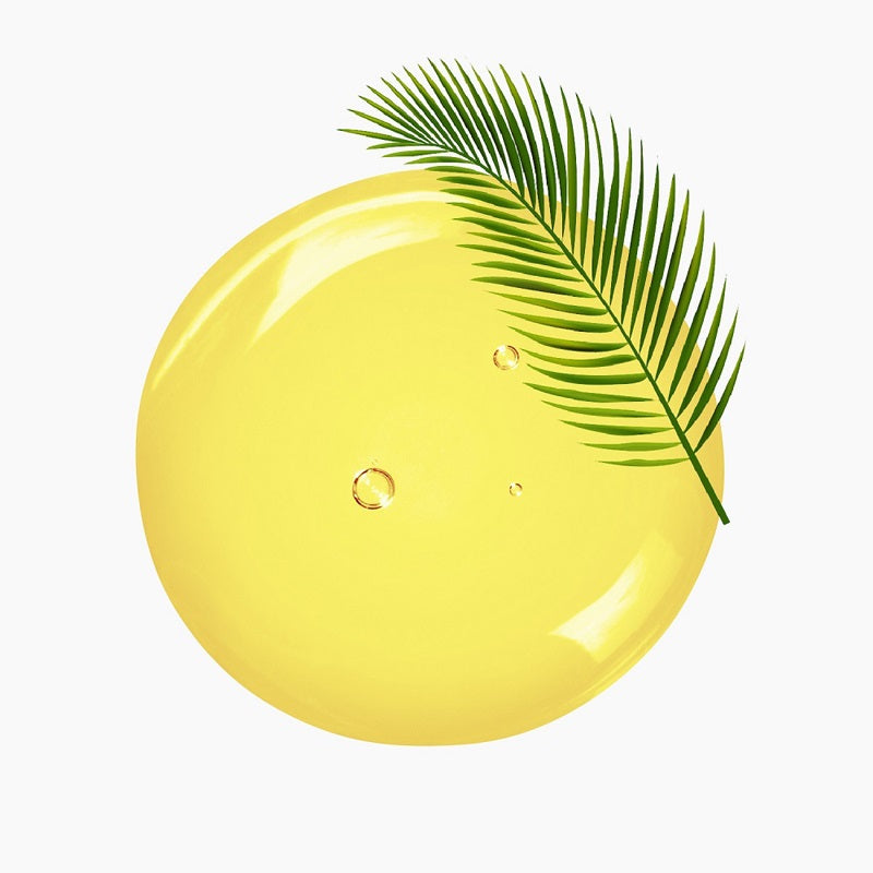 Palm Tree Leaf Atop A Circular Blob Of Yellow Oil | Bulk Oils | Brightpack Raw Materials