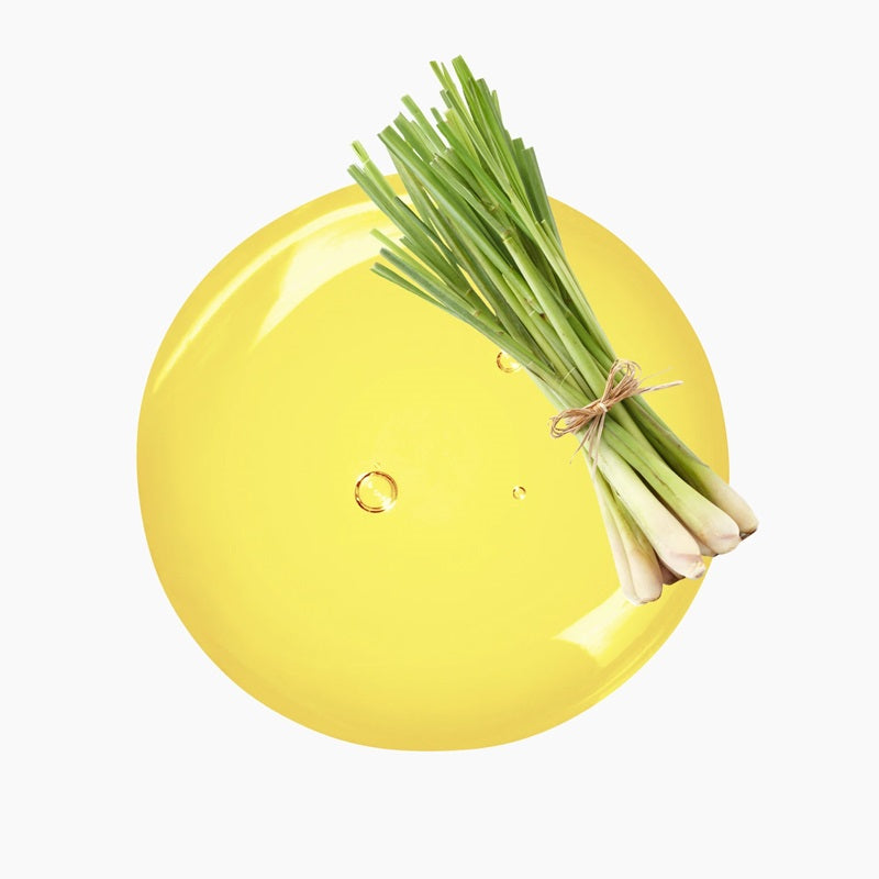 Lemongrass Atop A Circular Blob Of Yellow Oil | Bulk Oils | Brightpack Raw Materials