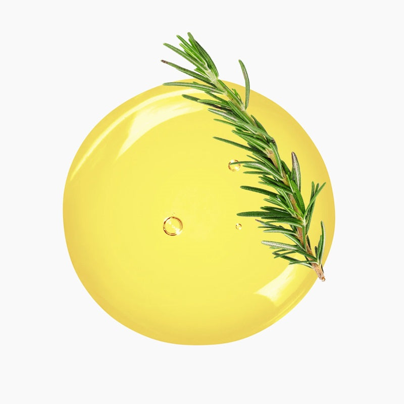 Rosemary Leaves Atop A Circular Blob Of Yellow Oil | Bulk Oils | Brightpack Raw Materials